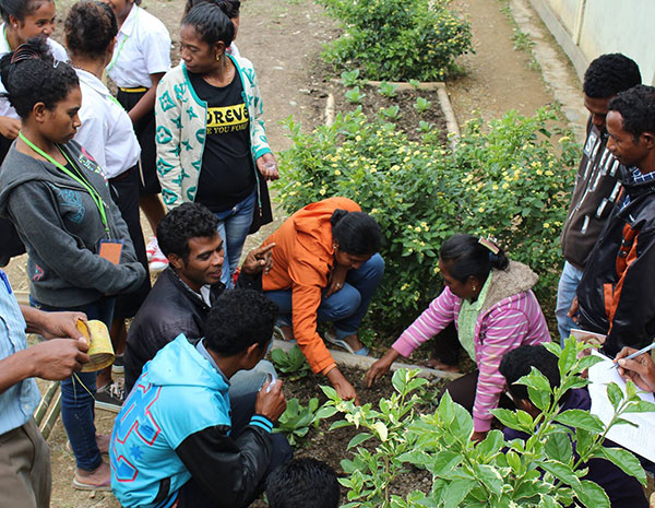 Permaculture in schools program