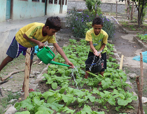 Permaculture in Schools program