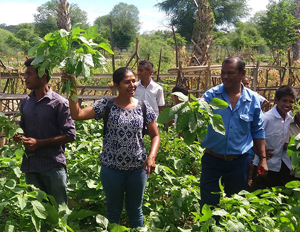 Permaculture in schools program